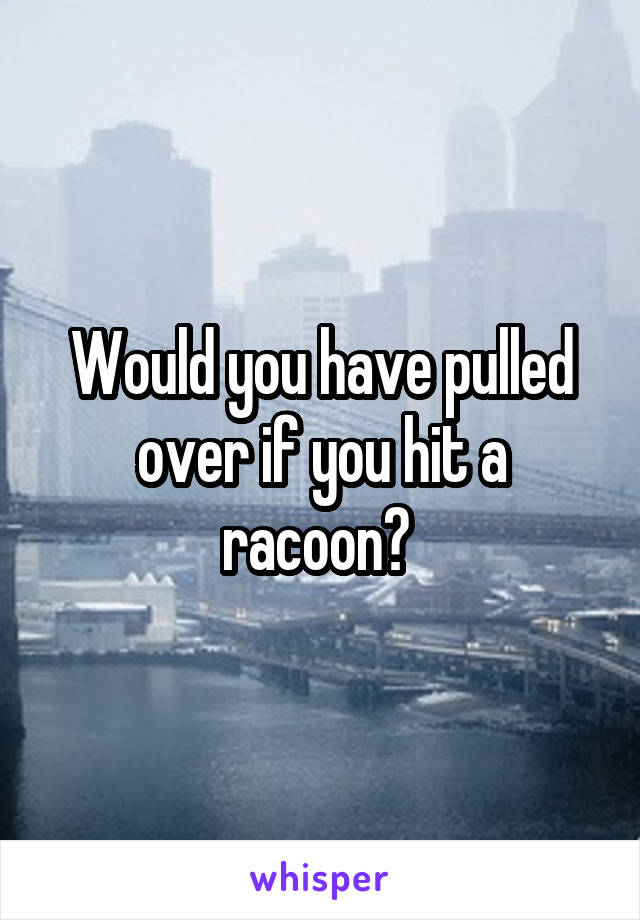 Would you have pulled over if you hit a racoon? 