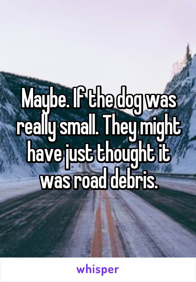 Maybe. If the dog was really small. They might have just thought it was road debris.