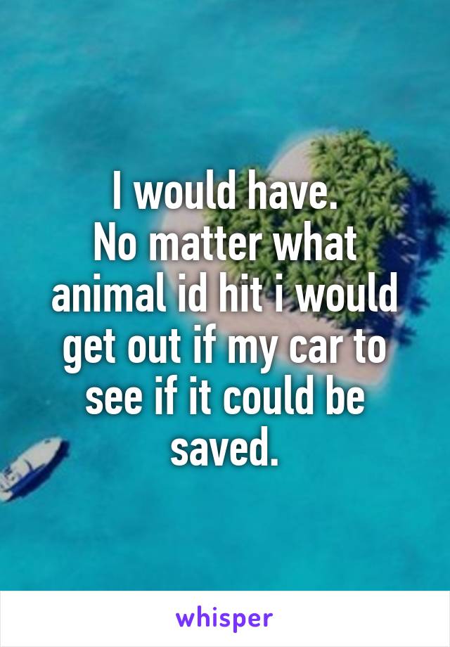 I would have.
No matter what animal id hit i would get out if my car to see if it could be saved.