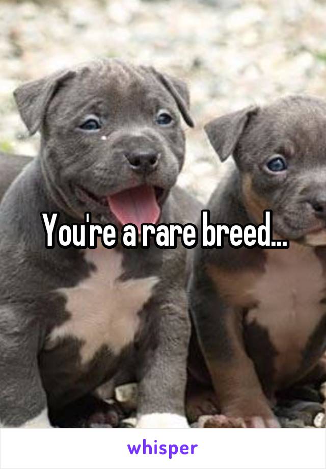 You're a rare breed...