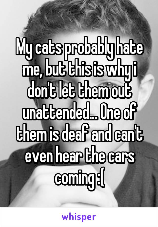 My cats probably hate me, but this is why i don't let them out unattended... One of them is deaf and can't even hear the cars coming :(