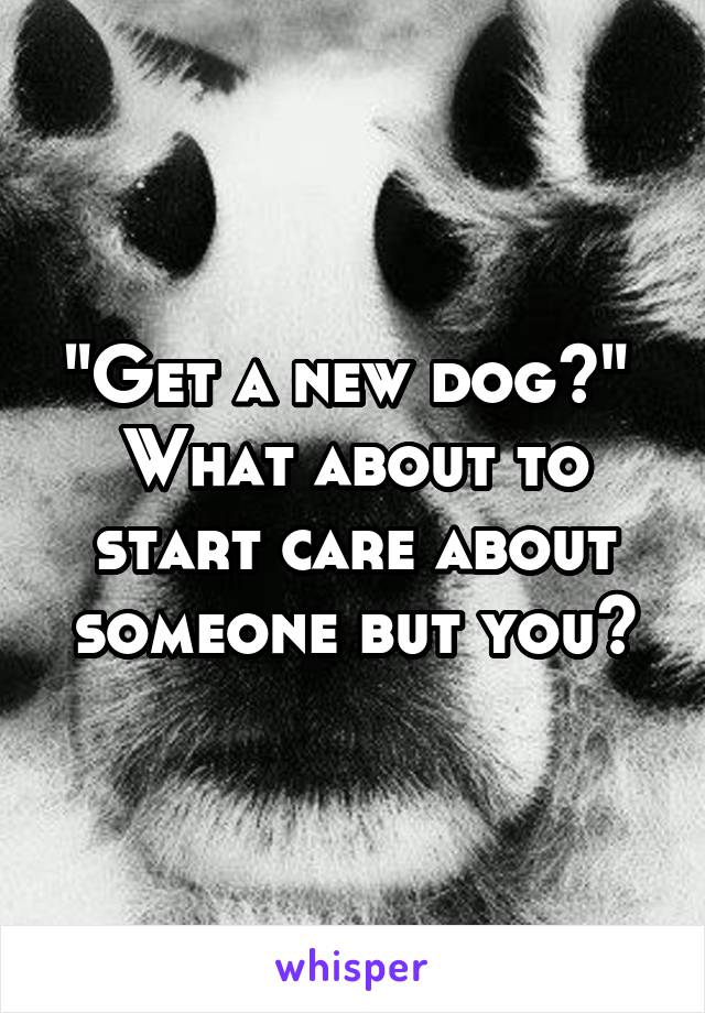 "Get a new dog?" 
What about to start care about someone but you?