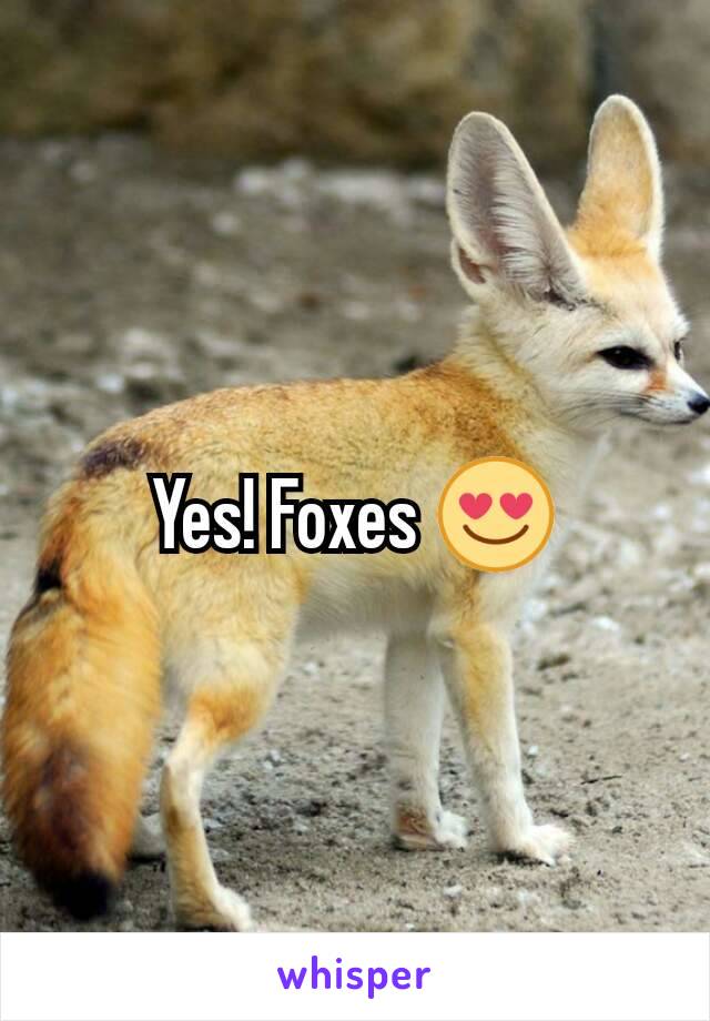 Yes! Foxes 😍