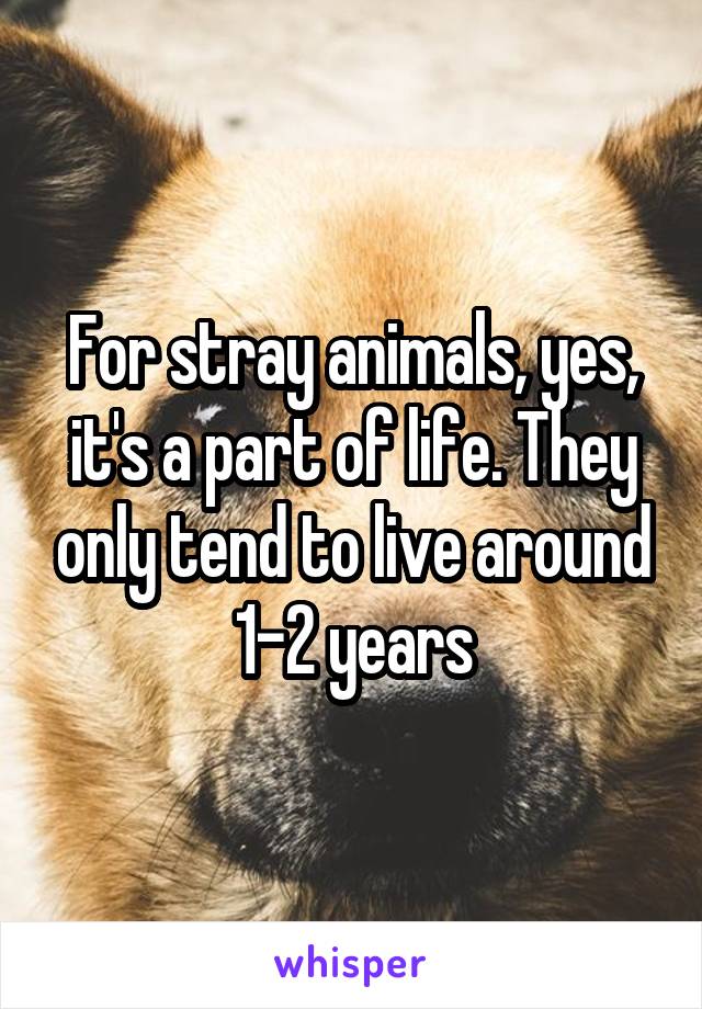 For stray animals, yes, it's a part of life. They only tend to live around 1-2 years