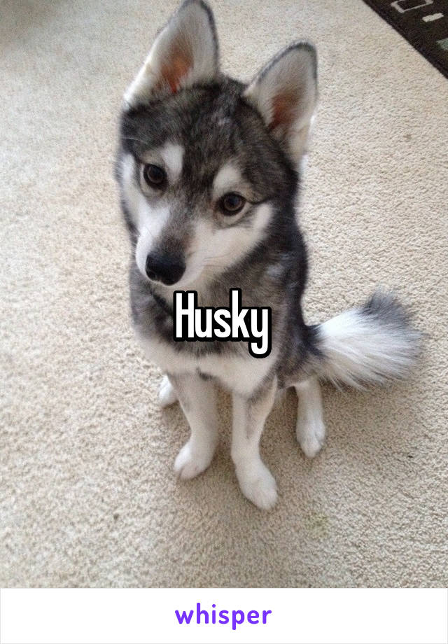 Husky 