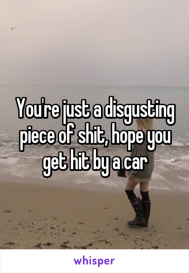 You're just a disgusting piece of shit, hope you get hit by a car