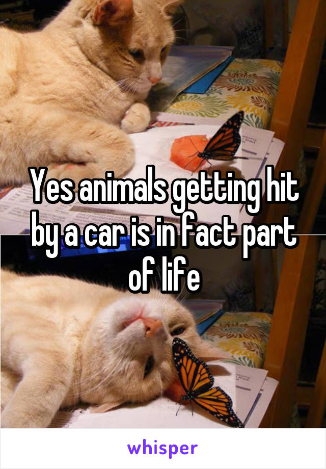 Yes animals getting hit by a car is in fact part of life