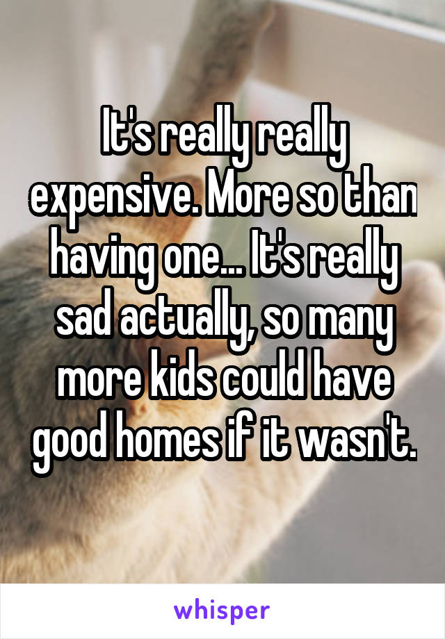 It's really really expensive. More so than having one... It's really sad actually, so many more kids could have good homes if it wasn't. 