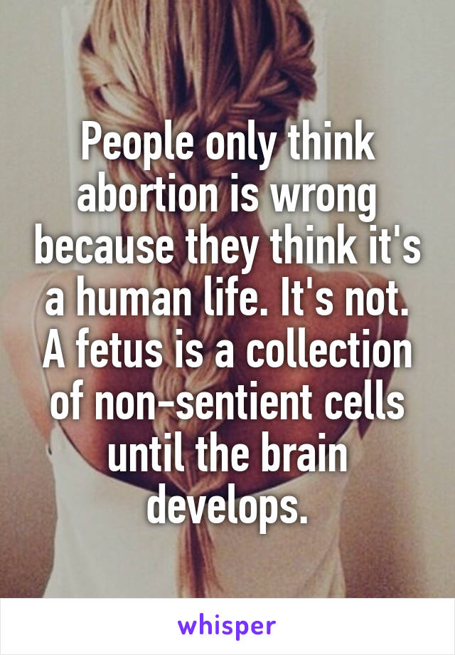 People only think abortion is wrong because they think it's a human life. It's not. A fetus is a collection of non-sentient cells until the brain develops.