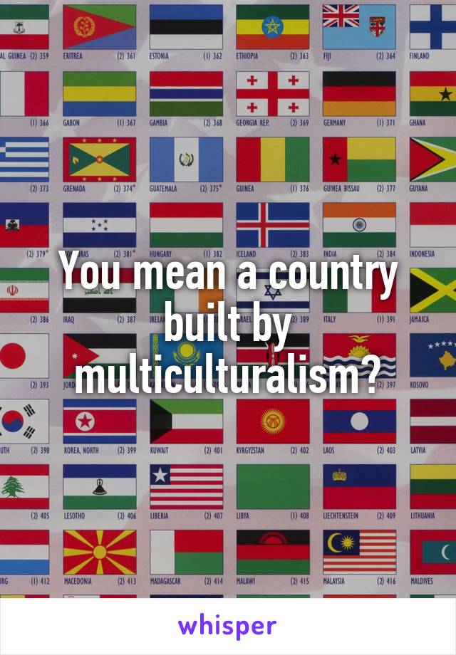 you-mean-a-country-built-by-multiculturalism