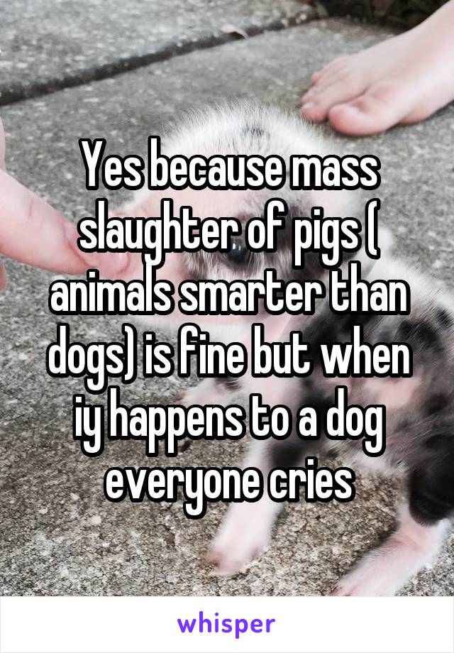 Yes because mass slaughter of pigs ( animals smarter than dogs) is fine but when iy happens to a dog everyone cries
