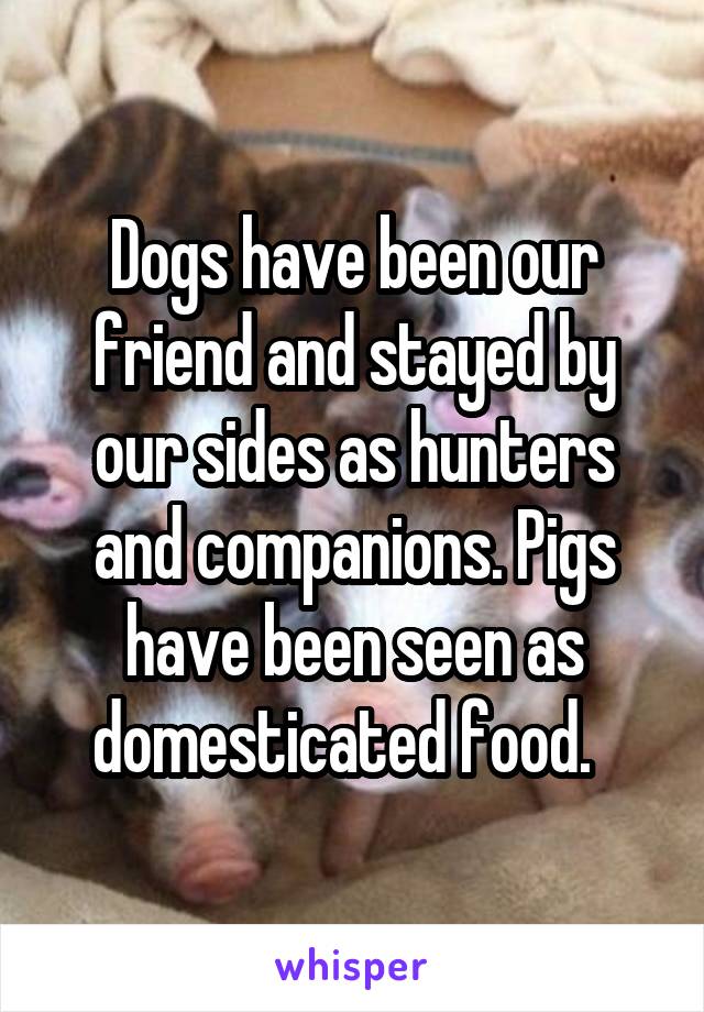 Dogs have been our friend and stayed by our sides as hunters and companions. Pigs have been seen as domesticated food.  