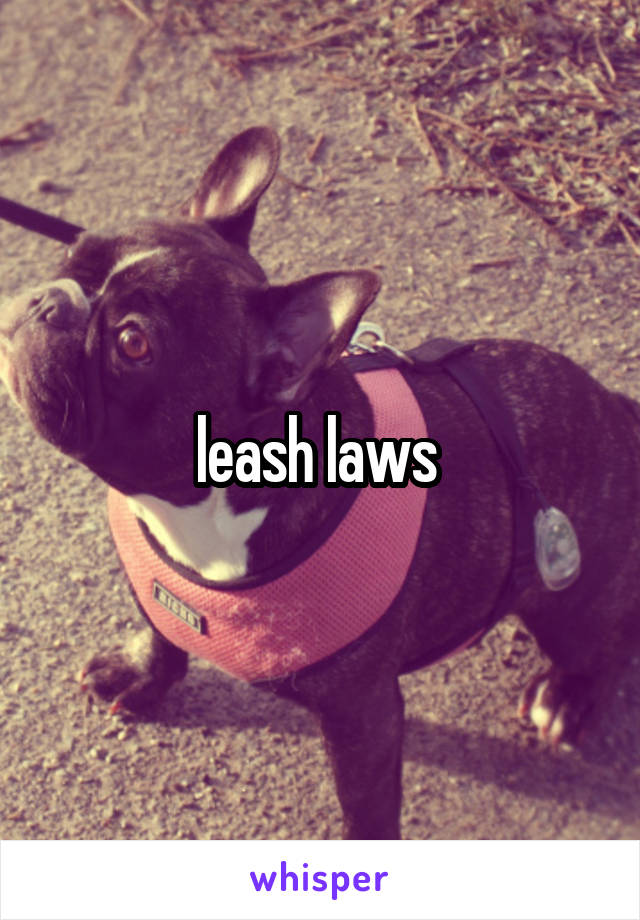 leash laws 