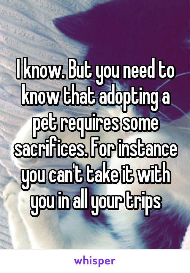 I know. But you need to know that adopting a pet requires some sacrifices. For instance you can't take it with you in all your trips