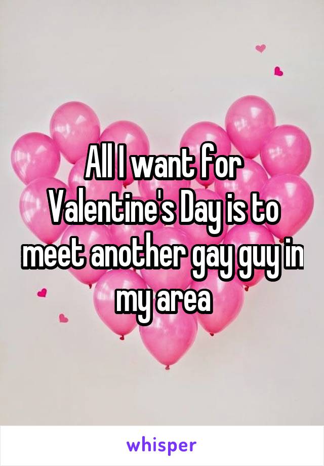 All I want for Valentine's Day is to meet another gay guy in my area