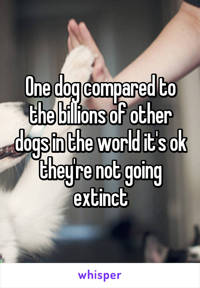 One dog compared to the billions of other dogs in the world it's ok they're not going extinct