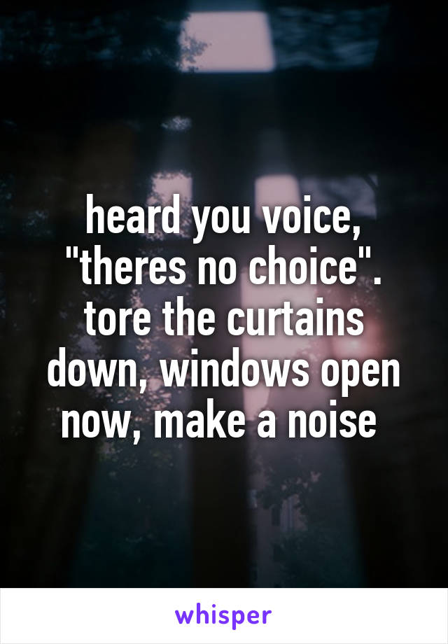 heard you voice, "theres no choice". tore the curtains down, windows open now, make a noise 