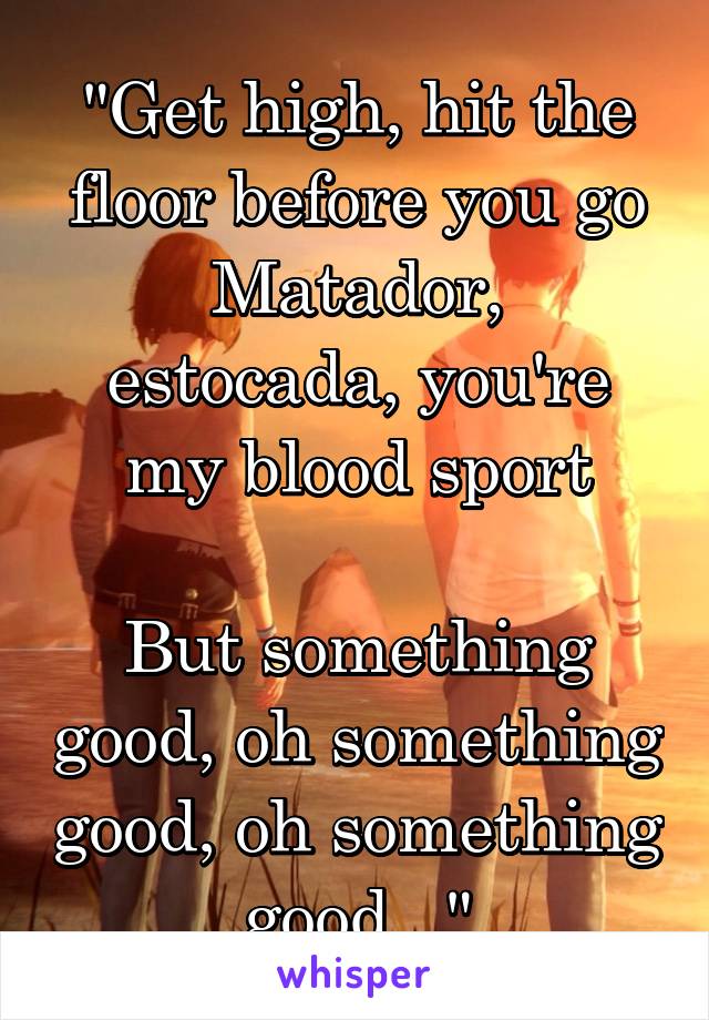 "Get high, hit the floor before you go
Matador, estocada, you're my blood sport

But something good, oh something good, oh something good..."