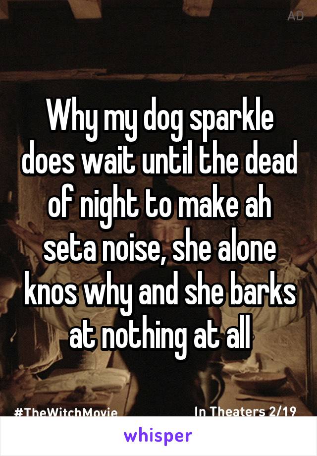 Why my dog sparkle does wait until the dead of night to make ah seta noise, she alone knos why and she barks at nothing at all