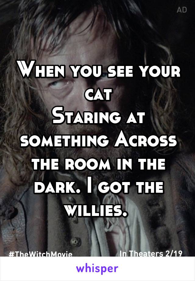 When you see your cat
Staring at something Across the room in the dark. I got the willies. 