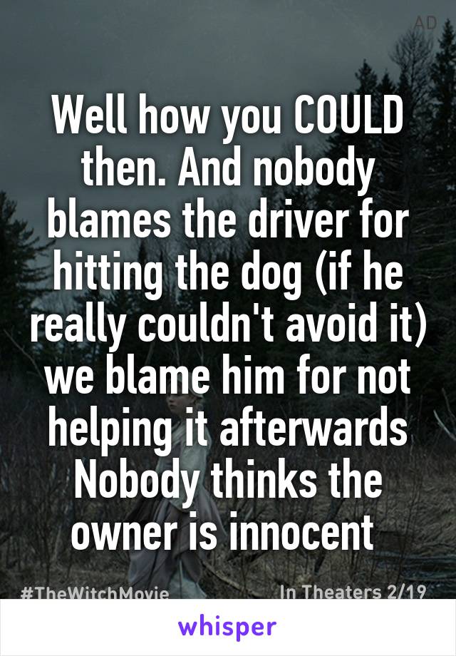 Well how you COULD then. And nobody blames the driver for hitting the dog (if he really couldn't avoid it) we blame him for not helping it afterwards
Nobody thinks the owner is innocent 