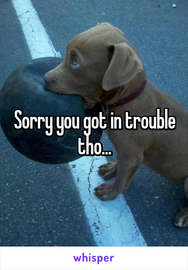 Sorry you got in trouble tho...