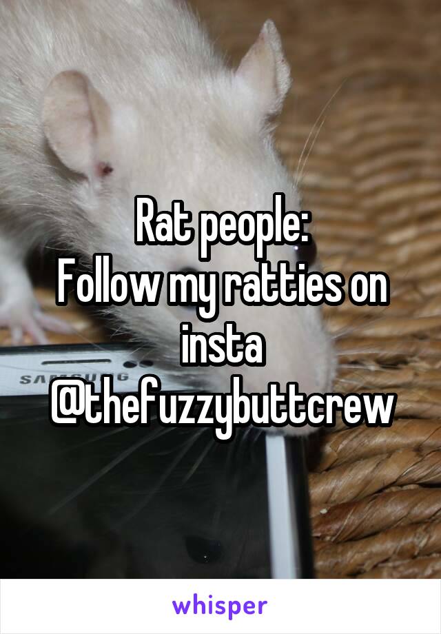 Rat people:
Follow my ratties on insta
@thefuzzybuttcrew