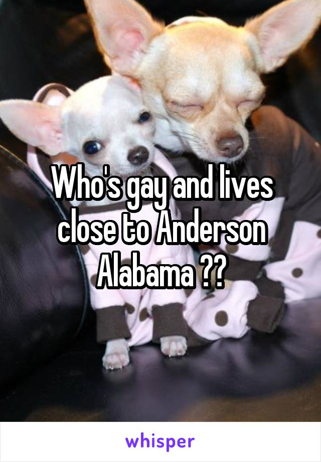 Who's gay and lives close to Anderson Alabama ??
