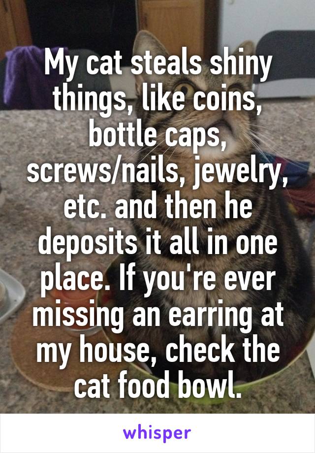 My cat steals shiny things, like coins, bottle caps, screws/nails, jewelry, etc. and then he deposits it all in one place. If you're ever missing an earring at my house, check the cat food bowl.