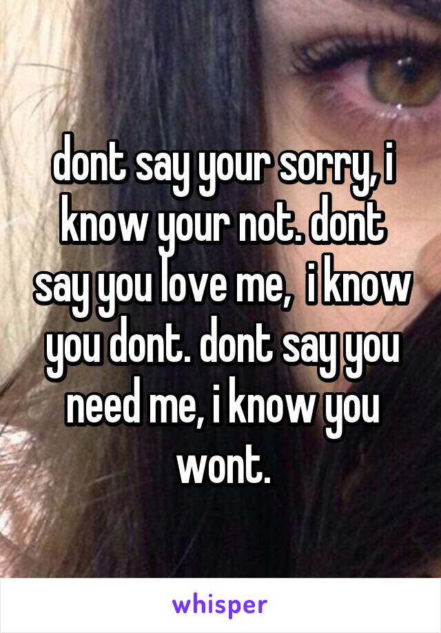 dont say your sorry, i know your not. dont say you love me,  i know you dont. dont say you need me, i know you wont.