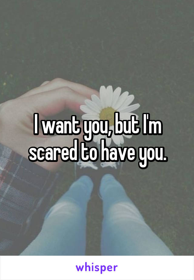 I want you, but I'm scared to have you.
