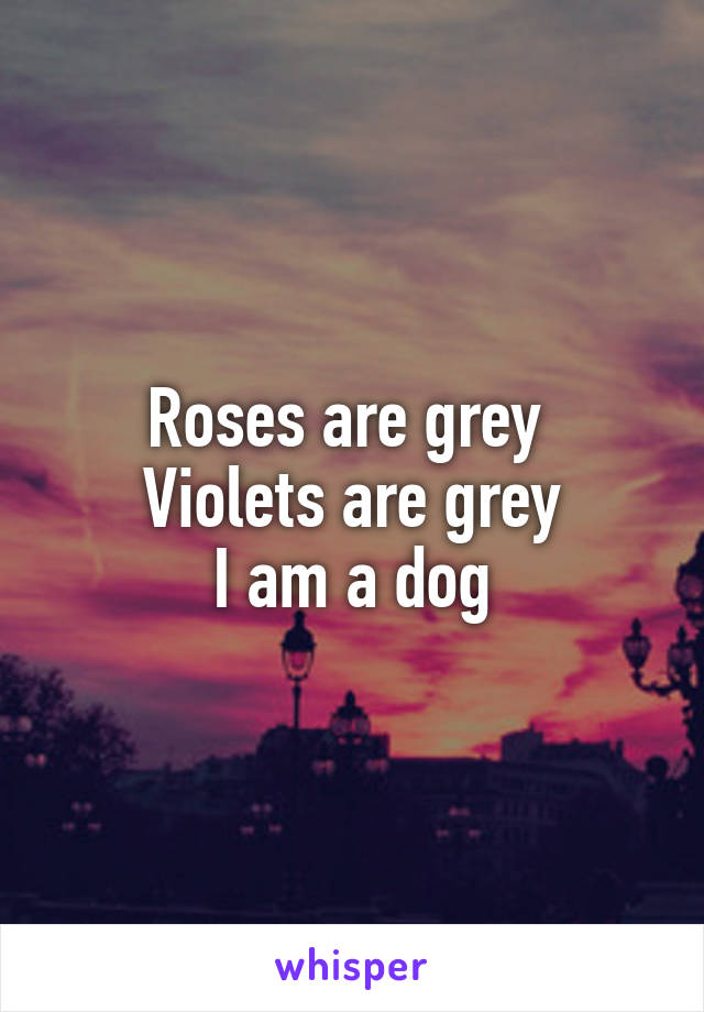 Roses are grey 
Violets are grey
I am a dog
