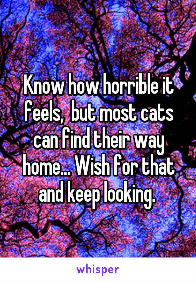 Know how horrible it feels,  but most cats can find their way home... Wish for that and keep looking. 