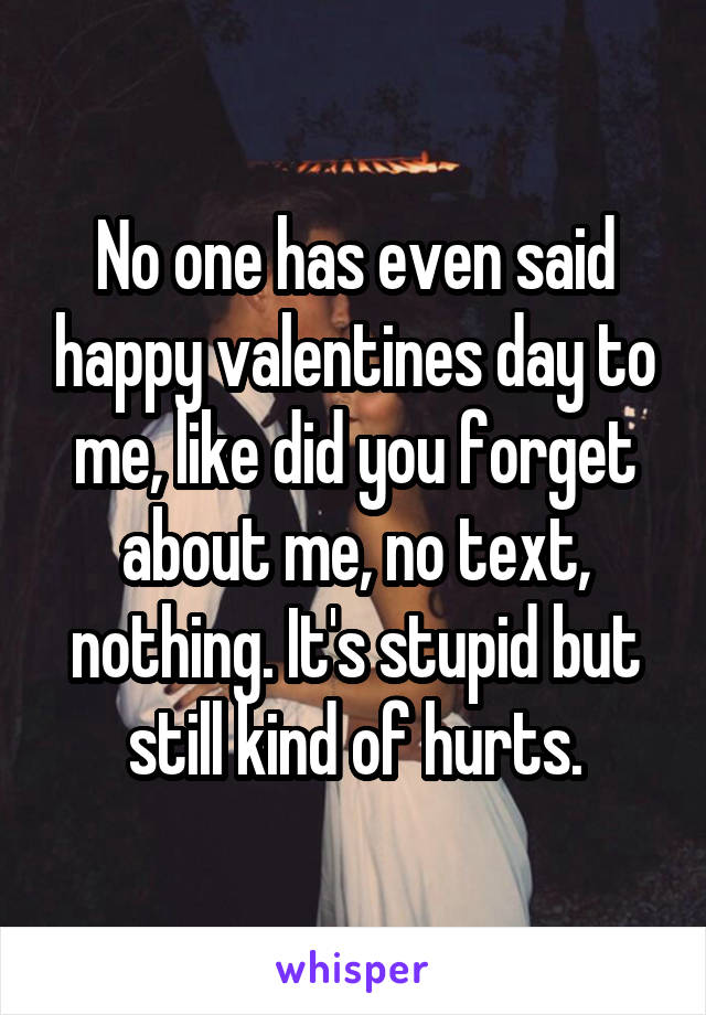 No one has even said happy valentines day to me, like did you forget about me, no text, nothing. It's stupid but still kind of hurts.