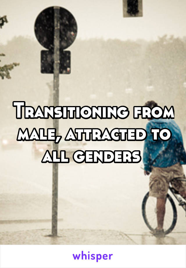 Transitioning from male, attracted to all genders 