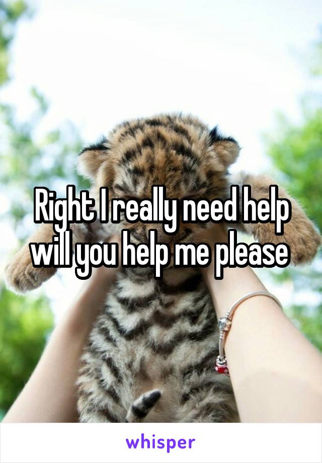 Right I really need help will you help me please 