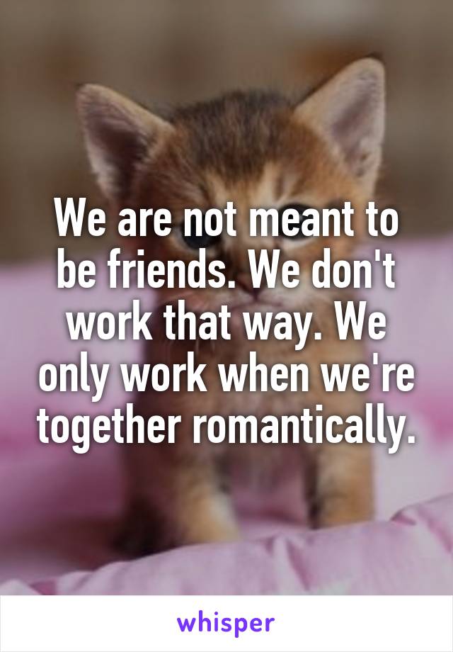 We are not meant to be friends. We don't work that way. We only work when we're together romantically.