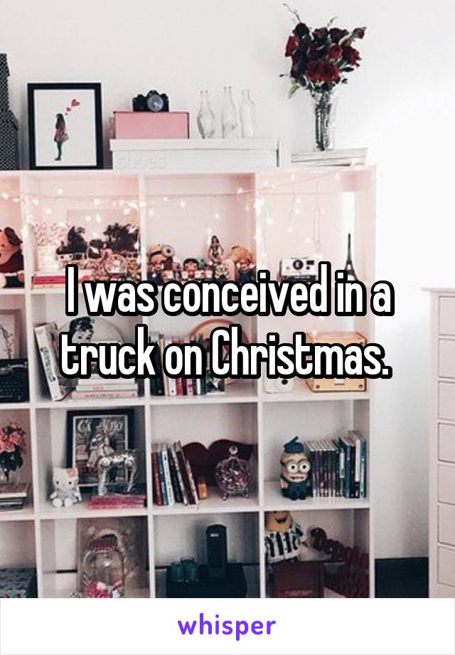 I was conceived in a truck on Christmas. 
