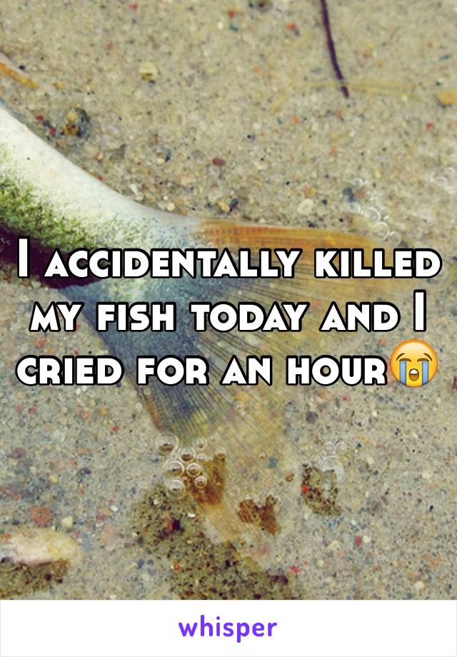 I accidentally killed my fish today and I cried for an hour😭