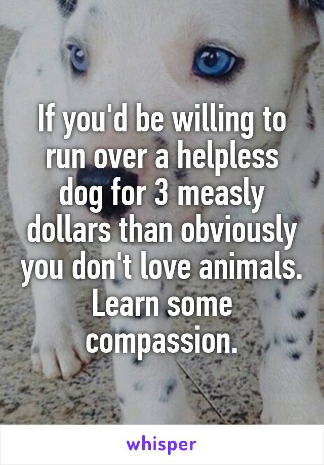 If you'd be willing to run over a helpless dog for 3 measly dollars than obviously you don't love animals. Learn some compassion.