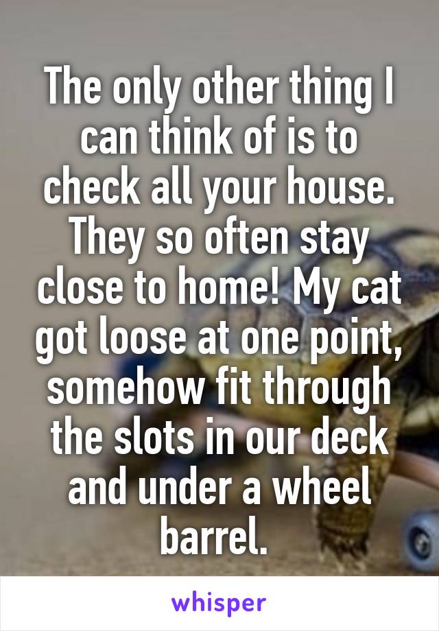 The only other thing I can think of is to check all your house. They so often stay close to home! My cat got loose at one point, somehow fit through the slots in our deck and under a wheel barrel. 
