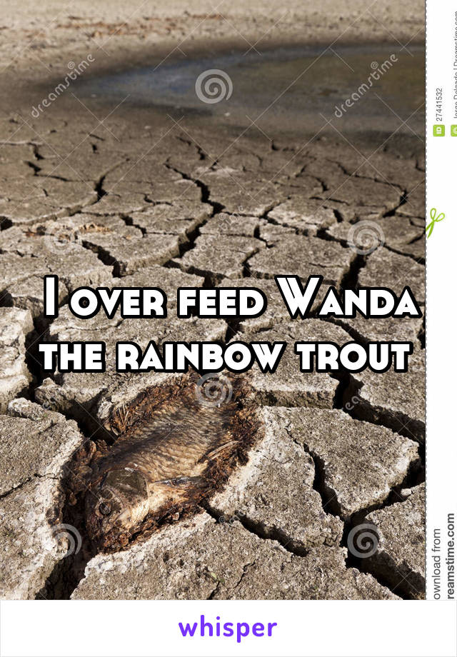I over feed Wanda the rainbow trout 