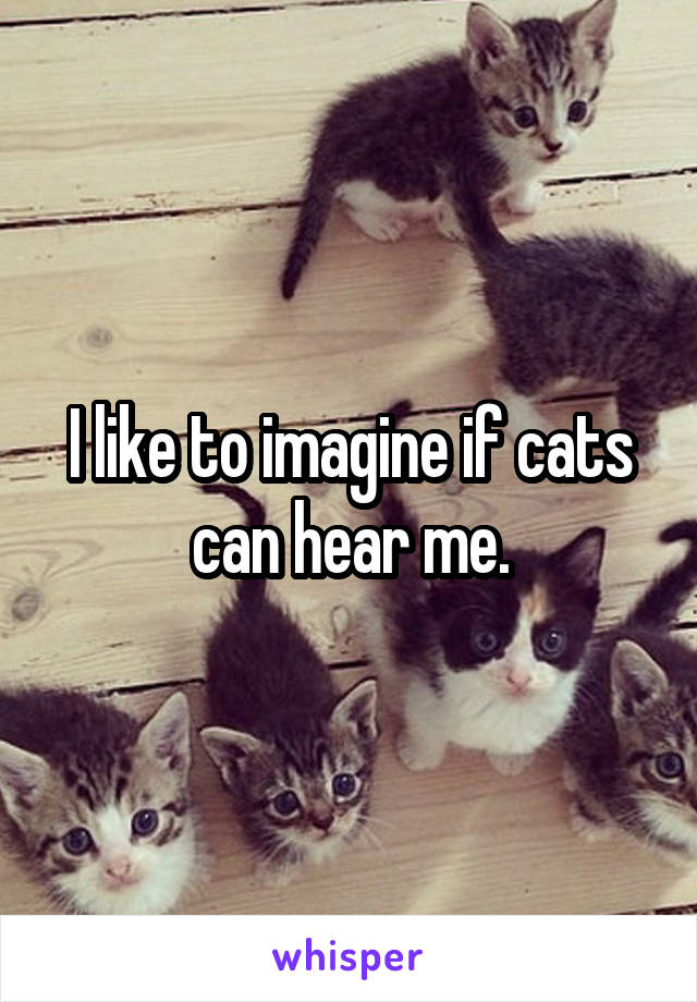 I like to imagine if cats can hear me.