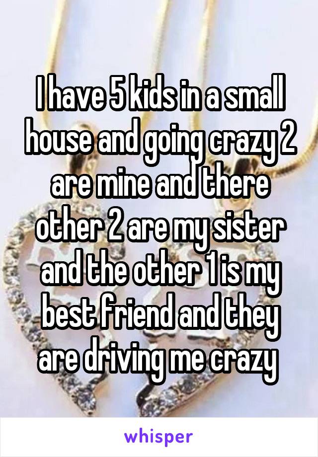 I have 5 kids in a small house and going crazy 2 are mine and there other 2 are my sister and the other 1 is my best friend and they are driving me crazy 