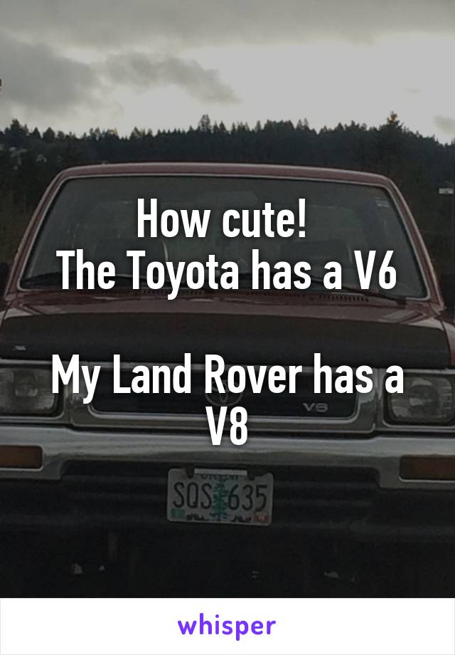 How cute! 
The Toyota has a V6

My Land Rover has a V8