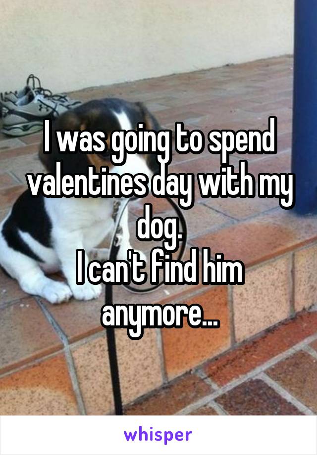 I was going to spend valentines day with my dog.
I can't find him anymore...