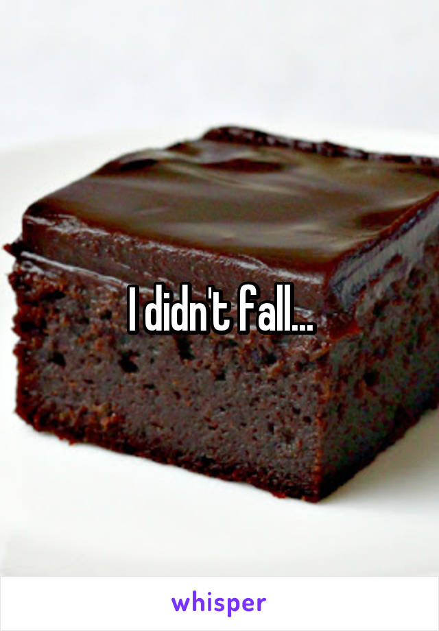 I didn't fall...
