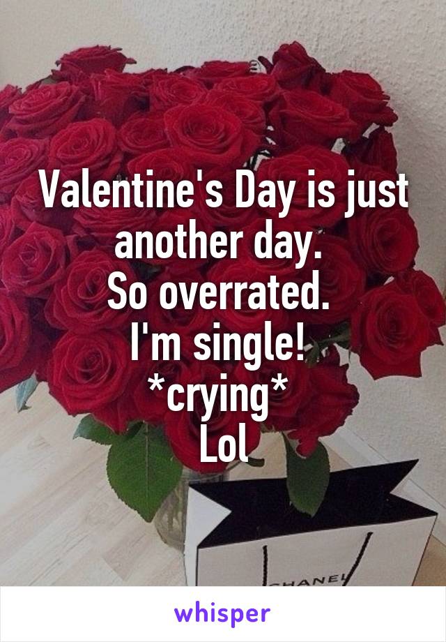 Valentine's Day is just another day. 
So overrated. 
I'm single! 
*crying* 
Lol