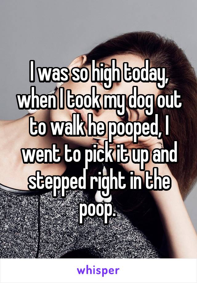 I was so high today, when I took my dog out to walk he pooped, I went to pick it up and stepped right in the poop. 
