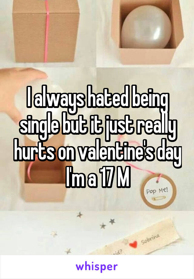 I always hated being single but it just really hurts on valentine's day I'm a 17 M